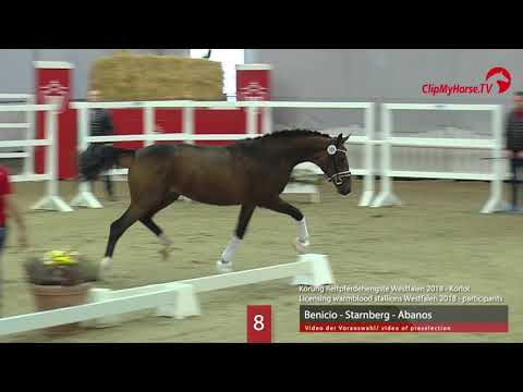 08 Hengst v. Benicio - Starnberg - Abanos