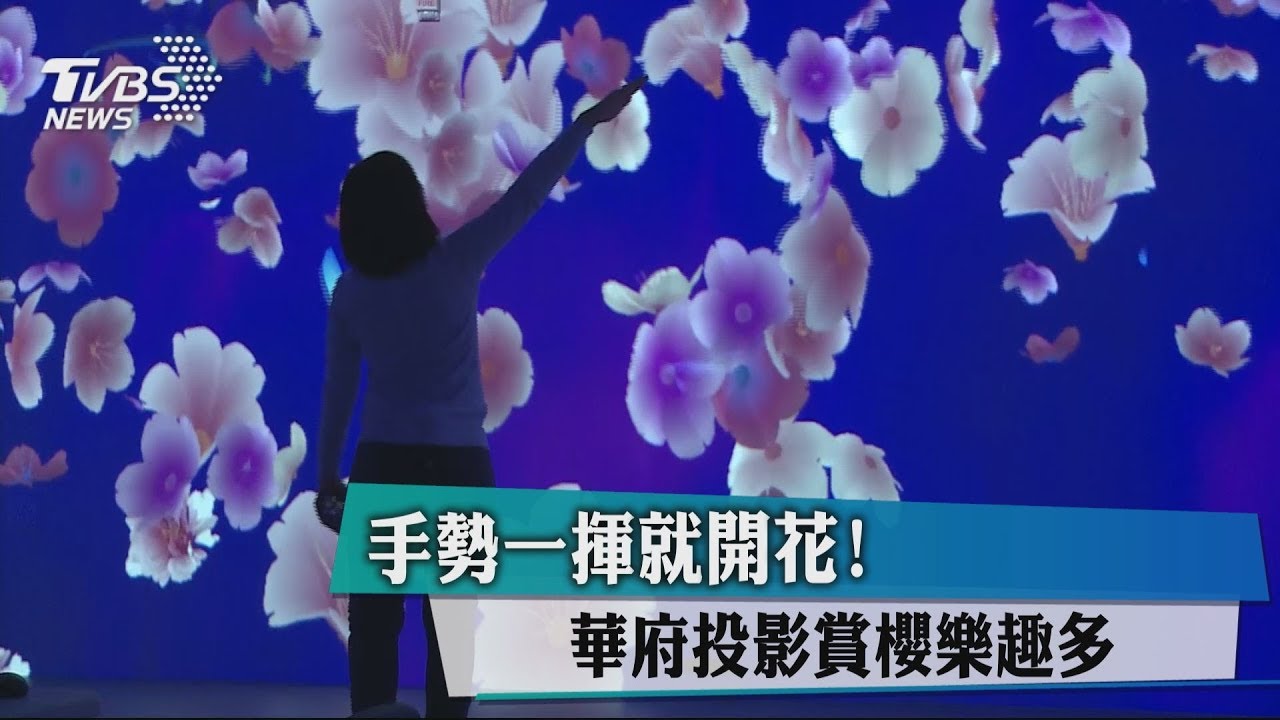 手勢一揮就開花! 華府投影賞櫻樂趣多