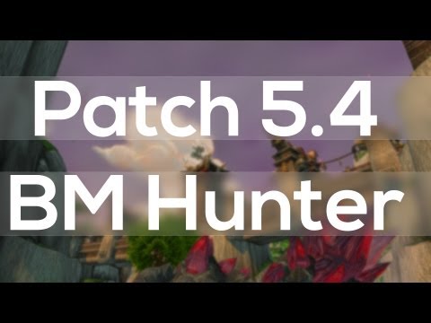 WoW Patch 5.4 BM Hunter Guide PvE - World of Warcraft