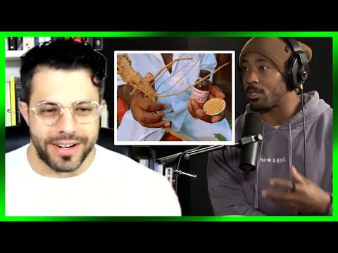 Exploring the Effects of Ibogaine on Opiate Withdrawal and Brain Function