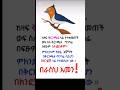 ከጠቀማችሁ ላይክ 😤👋 #new_ethiopian #ethiopian #new #youtube #music #video #mezmur #habesha #short
