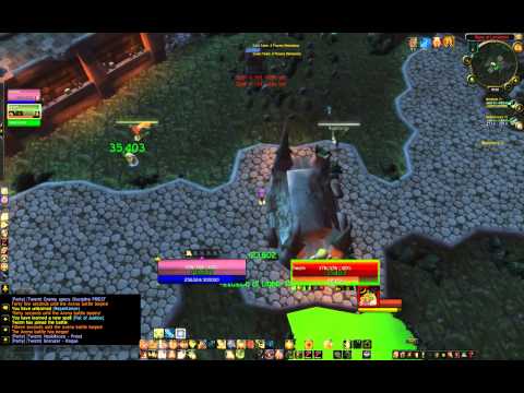 Holy Paladin/BM Hunter vs. Rogue/Disc Priest 2v2 arena pvp