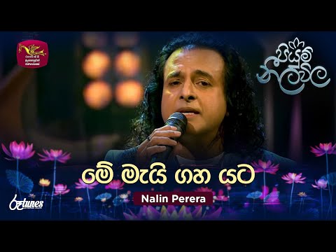 Me Mai Gaha Yata | මේ මැයි ගහ යට | Nalin Perera | Piyum Neela Vila | Roo Tunes