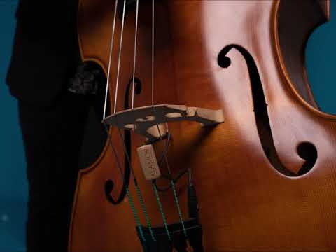 Four Note Exercise - Whole Steps - for Double Bass Intonation