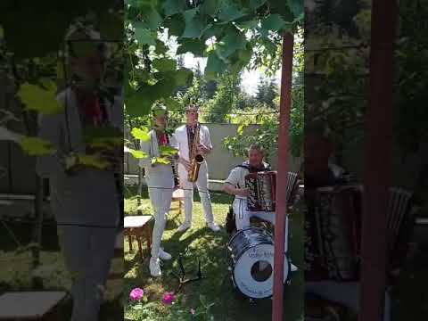 Музиканти на весілля Івано-Франківськ, відео 19