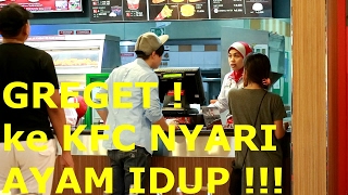 Download lagu CRAZY! GOING TO KFC LOOKING FOR LIVE CHICKEN!!!! -prank indonesia mp3 Download lagu CRAZY! GOING TO KFC LOOKING FOR LIVE CHICKEN!!!! -prank indonesia mp3