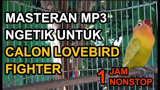 Download Lagu Download Masteran Love Bird MP3 dan Video MP4 Gratis