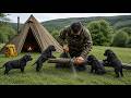 Hot Tent Camping With 4 Labrador Puppies… Our Hardest Night Yet? DEFAULT Thumbnail