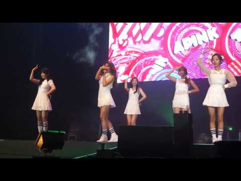 [FANCAM] 140808 A Pink - Mr. Chu @ SHINZU'I White Concert