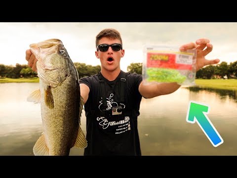 Watch My SECRET Bass Fishing Bait!!! (Ft. Fishing With Norm) Video on