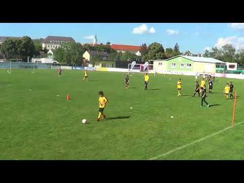 Spiel gegen Voesendorf - 26.5.2018