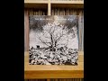 2-11-Bevis Frond-Drowned-Demo-Bonus Track