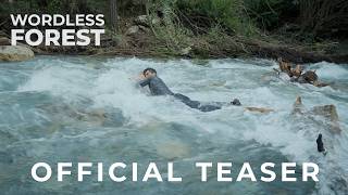 Teaser