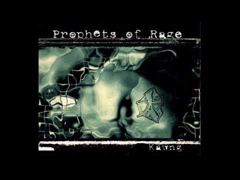 Prophets of Rage - Kawng (DJ Friction Club Mix)
