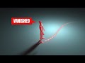 The Man Who Vanished