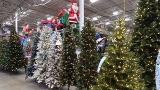 2020 Christmas Trees at Lowe’s