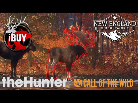 GREAT ONE MOOSE GRIND SETUP for NEW ENGLAND! | theHunter: Call of the Wild