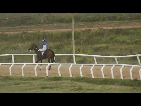 SINT FLORIDA 220317 c07 1° EBER LUDUEÑA