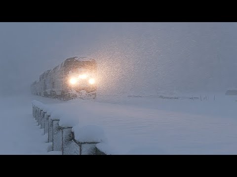 Snow Trains at Skykomish!