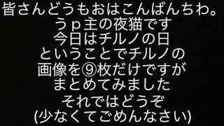 チルノの日の記念動画