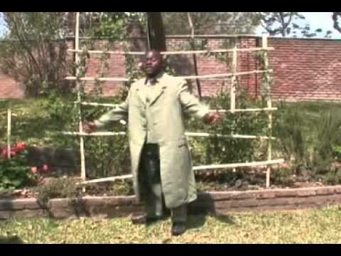 Blessings Chimangeni - Usandigunde