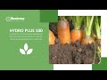 HYDRO PLUS 100 INNOVATION IN AGRICULTURE