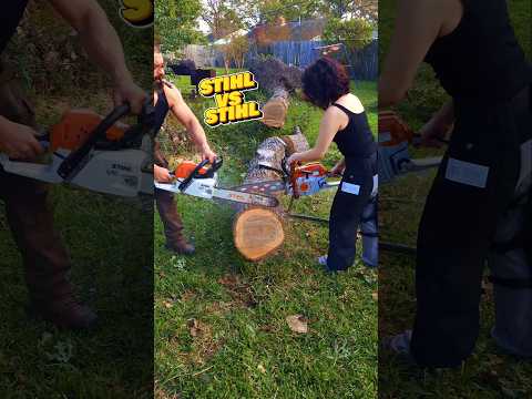 STIHL MS261 VS MS251 !!! #stihl #chainsaw #forestry #ms261 #ms251 #vs #powertools