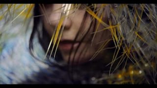 Björk - Lionsong