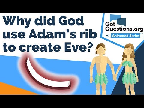 Why did God use Adam’s rib to create Eve?