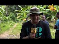hiru-tv-top-light-01-06-2015