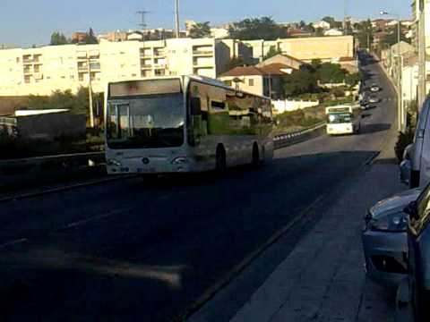 Autocarro da ETG e da Valpi