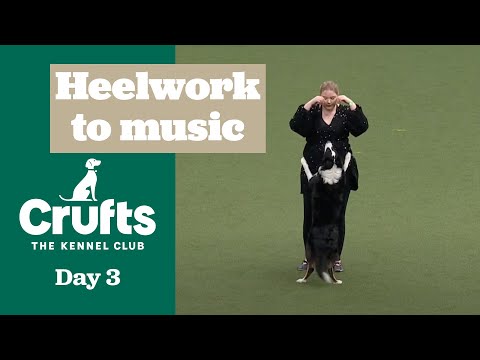Heelwork to Music – Freestyle International Competition Part One - | Crufts 2025