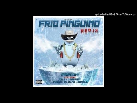 Frio Pinguino Remix - Marconi Impara X El Alfa X Darell X Jon Z X Pusho ( Video Oficial )