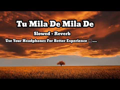 Tu Mila de Mila de ( Lofi+Reverb) | Sonu Nigam | Aadesh Srivastava | Salman Khan | 2012