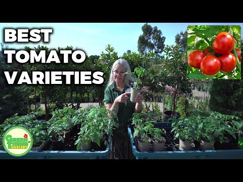 , title : 'Best Tomato Varieties? We Compared 47 Different Tomatoes (Taste, Shape, Color, Size, Yield, etc.)'