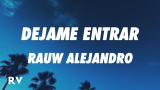 Rauw Alejandro - DEJAME ENTRAR (Letra/Lyrics)