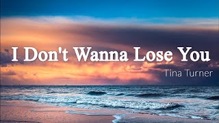 I Don&#39;t Wanna Lose You - Tina Turner [Lyrics + Vietsub]
