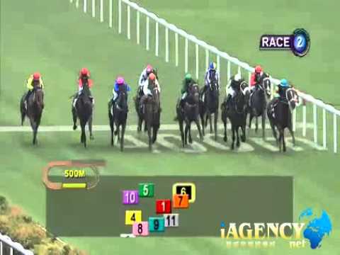 SINGAPORE RACE 01/01/2014 RACE 2 - iAgencyNet.com