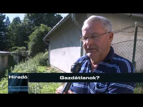 Gazdátlanok?