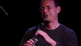 Myra Melford + Ben Goldberg: Concert in Toulouse - Anymore