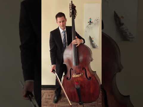 Bow Speed, Weight and Placement on the double bass (upright bass)