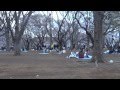 Япония.Праздник цветения сакуры. Парк Йойоги. 29.03.2014г. 