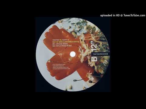 Toktok vs. Soffy O. - Day Of Mine (3 Phase Remix)