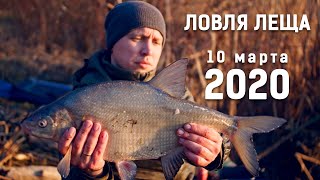 Как заставить леща клевать. если вообще бесклевие