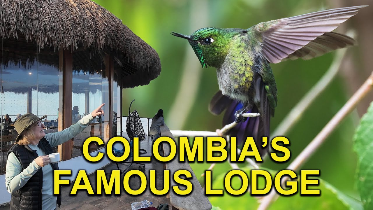 Hummingbirds at World Famous Colombia Birding Destination