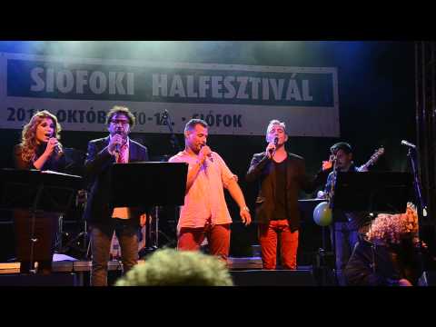 Majsai Gábor, Bebe, Veres Mónika, Heincz G. - 2014 Siófoki Halfesztivál full HD