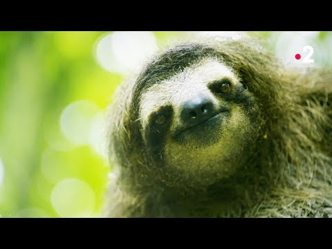 Quand tu pues et que ça te sauve la vie