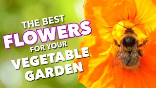 The Best Flowers To Boost Vegetable Gardens 🌺🐝
