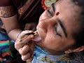 Thousands of Indians line up to swallow live fish for asthma cure in bizarre treatment