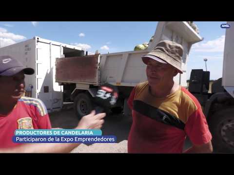 Productores de Candelaria participarán de la Expo Emprendedores